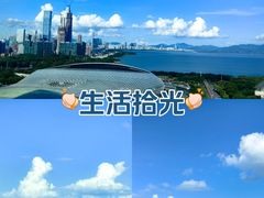 -深圳湾公园(南山区)