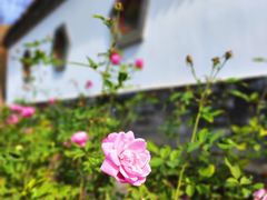-厦门园林博览苑