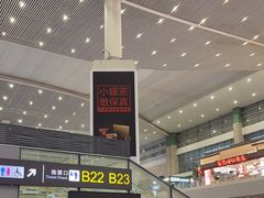 -成都东站