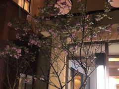 -重庆南山海昌汤都