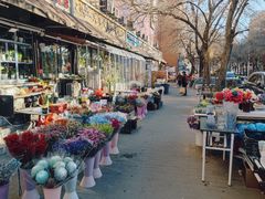 -宝鸡东道花鸟鱼虫市场(吉利花园商场店)