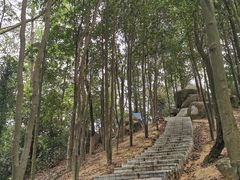 -火炉山森林公园