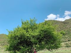 -石棉县孟获城