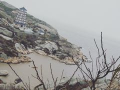 -洋山深水港