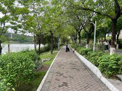 -广东花都湖国家湿地公园