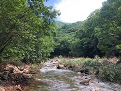 -本溪汤沟绿石谷森林公园