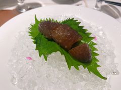 -觀芷隐轩