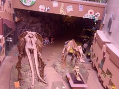 -陕西自然博物馆