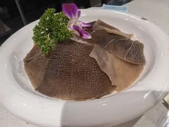 -川西坝子(苏州城市生活广场店)
