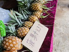 -西双版纳傣族园