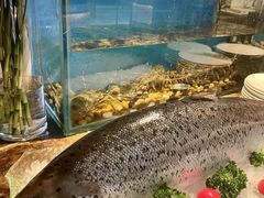 -西安高新希尔顿酒店·咖啡露台西餐厅