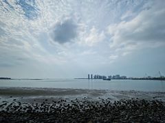 -万绿园