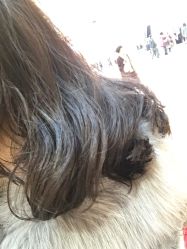 -曼都发型·臻选