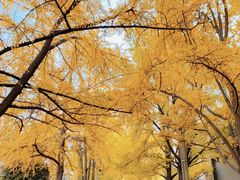 -四川大学(华西校区)