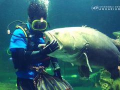 -暹罗海洋世界