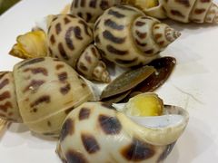 花螺-抱德·潮汕味(敦和店原惠城鱼仔)