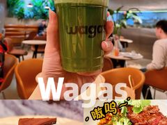 -Wagas沃歌斯(枫蓝国际店)