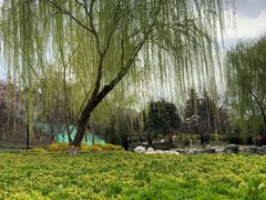 -西安青龙寺遗址景区