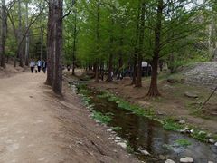 -白水寺森林公园