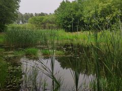 -东郊湿地公园