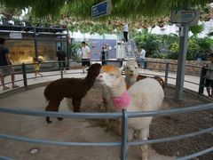 -洛阳龙门海洋馆