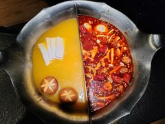 台式麻辣花胶鸳鸯锅-湊湊火锅·茶憩(南京东路悦荟店)