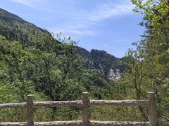 -朱雀国家森林公园