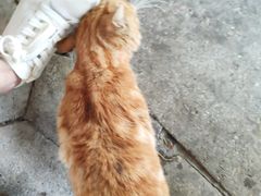-又见炊烟．纳西小院云南菜