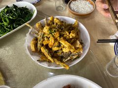 -鲤鱼塘农家山庄