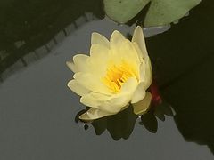 -文昌阁
