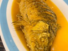 红烧黄河大鲤鱼-山西派(桥东街店)