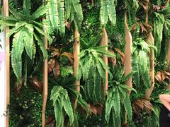 -CoCo都可(北京西站北广场店)