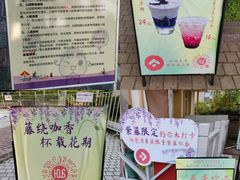 -嘉定紫藤园