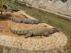 -石家庄市动物园