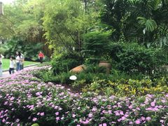 -晓港公园