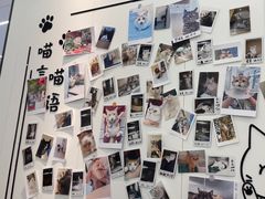 -瑞派·关忠动物医院·猫专科·犬专科(三环新城店)