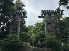 -重庆园博园