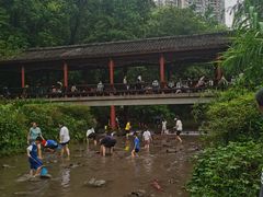 -重庆彩云湖湿地公园