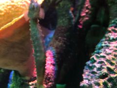 -沈阳海洋探索中心