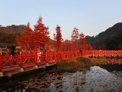 -广州市石门国家森林公园