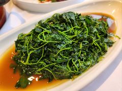 清炒金花菜-天福苑(崇宁路店)
