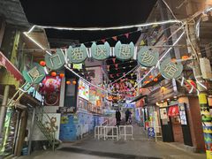 -猫咪博物馆(顶澳仔猫街店)