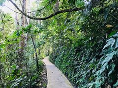 -中国科学院西双版纳热带植物园