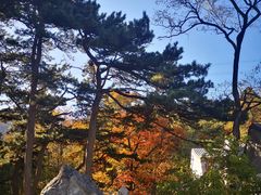 -阳台山自然风景区