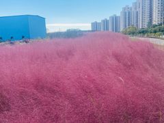 -尚贤河湿地