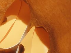 -麦当劳(团结湖店)