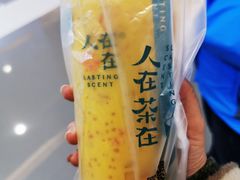 -人在茶在(华南店)