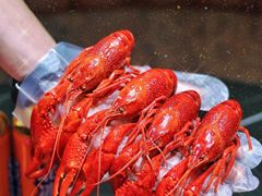 -虾乐园龙虾·夜宵(松江店)