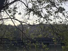-白马涧龙池景区