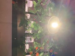 -胖哥俩肉蟹煲(福州仓山爱琴海店)